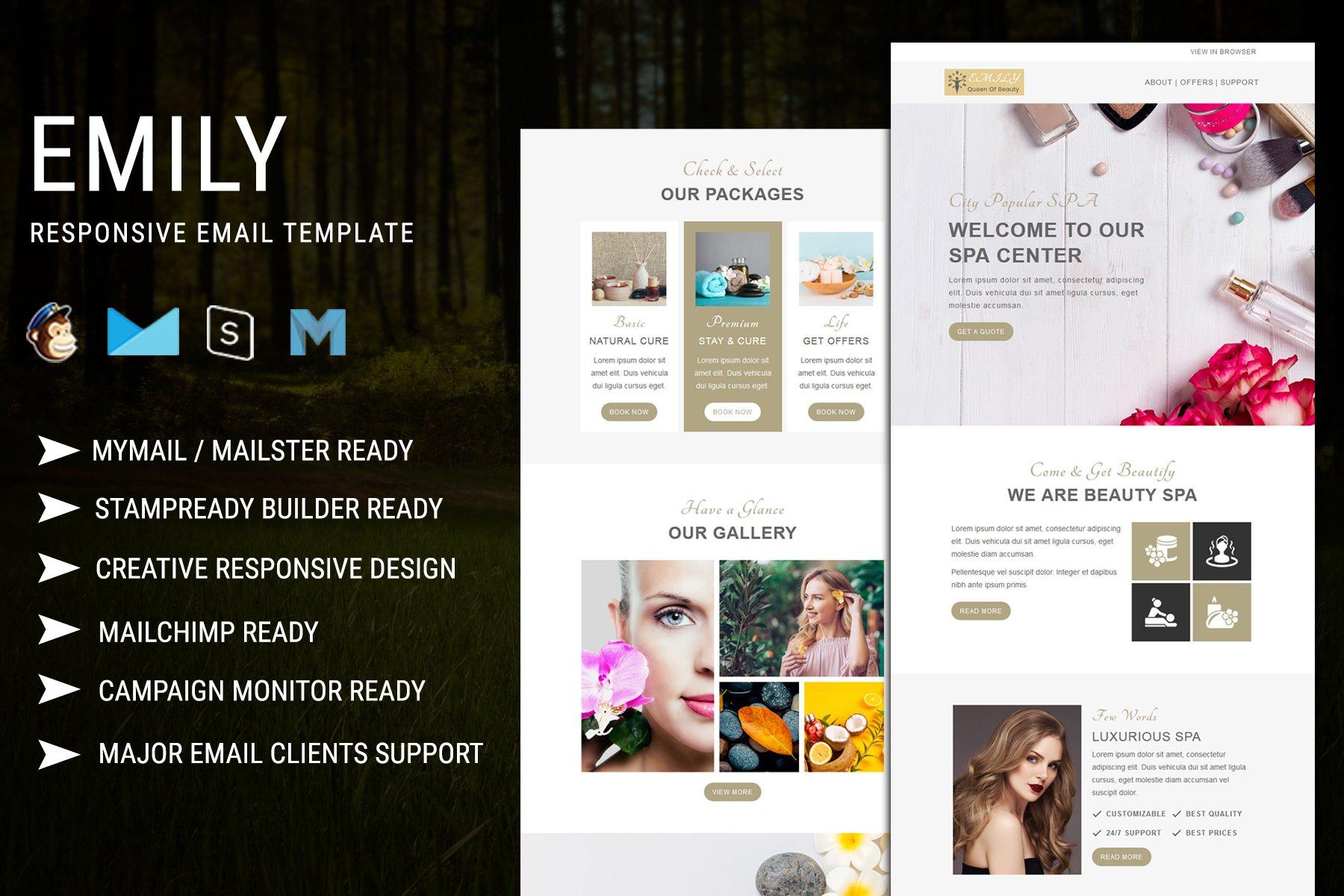 Emily - Responsive Email Template