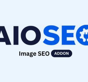 AIOSEO Image SEO Addon 1.1.13