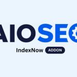 AIOSEO IndexNow Addon 1.0.11