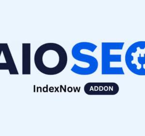 AIOSEO IndexNow Addon 1.0.11