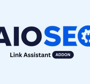 AIOSEO Link Assistant Addon 1.1.4