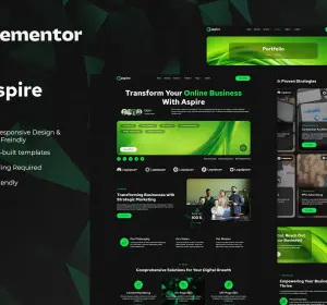 Aspire - SEO & Digital Marketing Elementor Template Kit