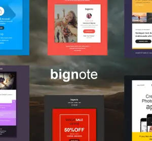 Bignote - 24 Unique Responsive Email Notification