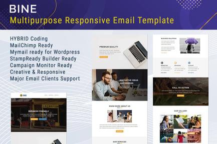 Bine - Multipurpose Responsive Email Template