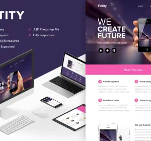 Entity - Responsive Email + Themebuilder Access
