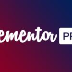 Elementor Pro Wordpress Plugin Null Download