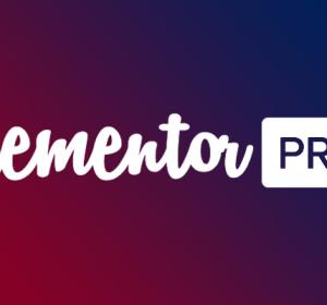 Elementor Pro Wordpress Plugin Null Download