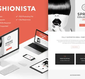 Fashionista - Responsive + Themebuilder Access