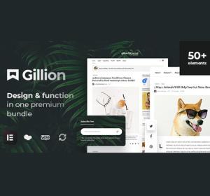 Gillion | Multi-Concept Blog/Magazine & Shop WordPress AMP Theme