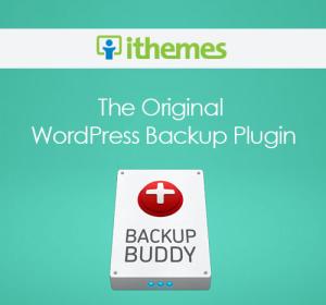 IThemes BackupBuddy WordPress Plugin