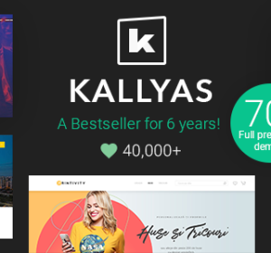 KALLYAS – Creative eCommerce Multi-Purpose WordPress Theme