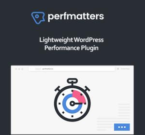 Perfmatters WordPress Plugin