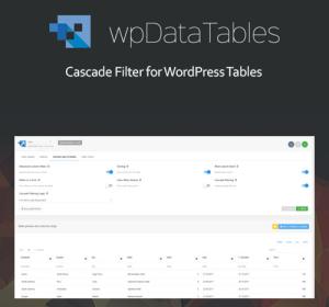 Powerful Filters for wpDataTables