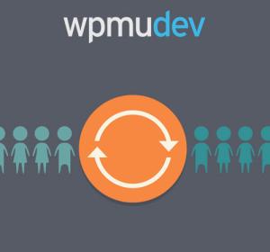 WPMU DEV User Synchronization